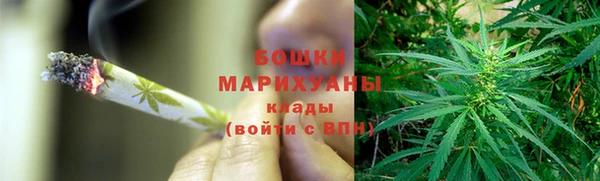 прущие грибы Абдулино