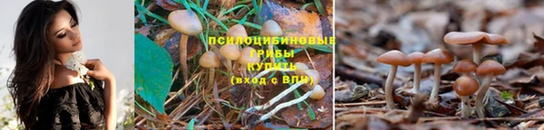 спиды Сосновоборск