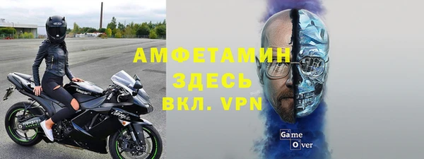 прущие грибы Абдулино