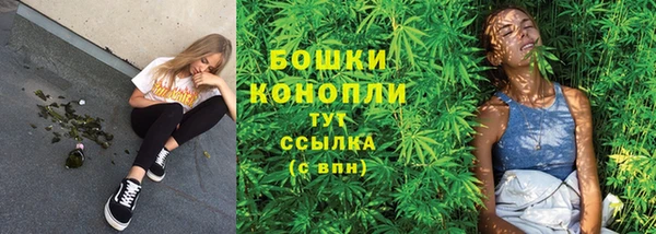 прущие грибы Абдулино