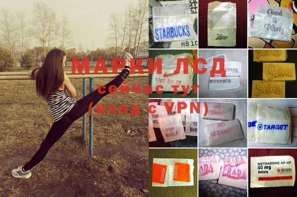 прущие крисы Абинск