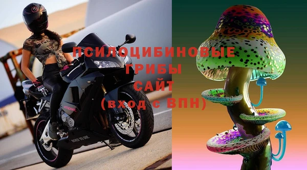 прущие крисы Абинск