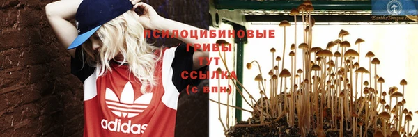 прущие крисы Абинск