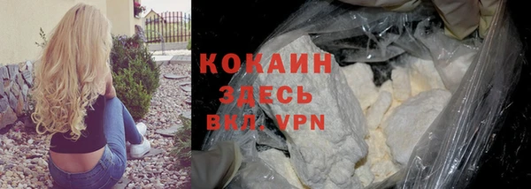 прущие грибы Абдулино