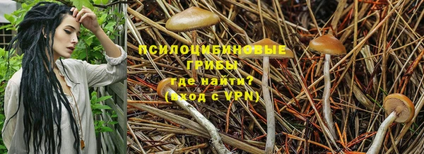 не бодяженный Абаза