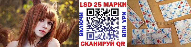 Марки NBOMe 1,5мг  где купить наркоту  Болотное 