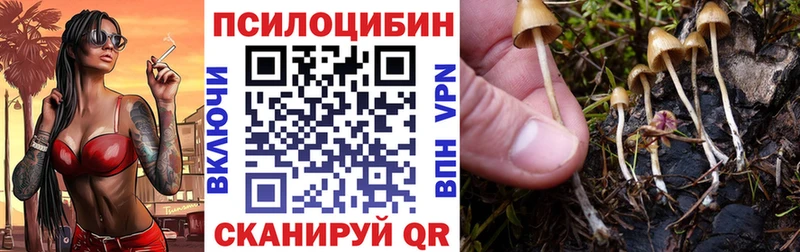 Псилоцибиновые грибы ЛСД  продажа наркотиков  Болотное 